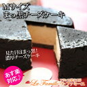 まっ黒チーズケーキ　Mサイズ【あす楽対応：正午12：00受付まで！当日発送／日祝発送休み／あす楽対応でない商品ご一緒にご注文⇒別配送・別途送料】【チーズケーキ】... ランキングお取り寄せ