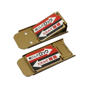 mebN TbVpȈՕ⏕ TbVbNX2P Vo[ N-1112 uY N-1114 h C dbN ]h~ [M 1/5]