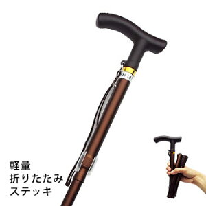 �� �A���~�y�ʐ܂��݃X�e�b�L ��70�`80cm ��� ��� MK59-1 �R���p�N�g ��߂�