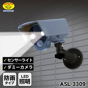 _~[hƃJ ZT[Cgt hƃ_~[J ASL-3309 hJ h lZT[ LEDCg sRґ΍