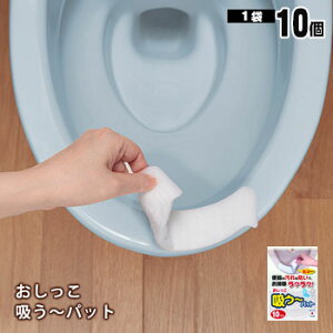 Ԃ̉h z`pbg 10R AE-77 [M 1/2]