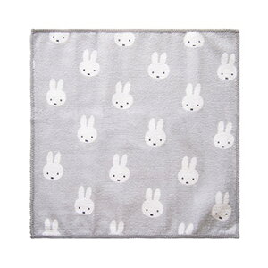 ~btB[ }CNt@Co[ӂ 3Zbg 3g z miffy dickbruna @ }` R hL[M 1/1]