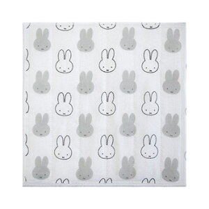 H@ ~btB[ Dӂ fUC3Zbg miffy dickbruna z ӂ k V j[M 1/2]