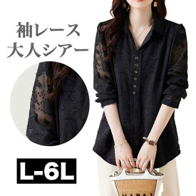 大きいサイズ レディース ロングトップス ロング ブラウス レース トップス チュニック ロングシャツ 長袖 ロング丈 ロング 長め 大きめ ゆったり 大人可愛い 黒 cp