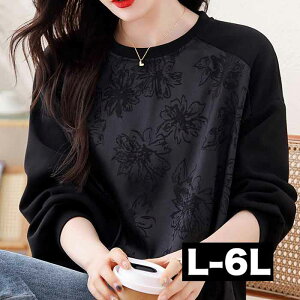 _Si^11/5܂Ł L-6L ԕ WK[h hXg NbvhgbvX  傫TCY 傫TCY fB[X  O H~ H t  sma lpp-