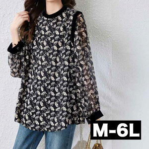  OgbvX O uEX `jbN I[o[uEX 傫TCY fB[X gbvX OVc `jbN Vc  O 傫  l ub