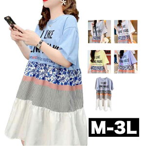 _Si11/27܂ ^ M`3L Jt Ss[X TVcs[X 傫TCY ~js[X ~jXJ[g JWA l l  t sma ubNtCf[