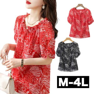 _Si^11/11܂Ł M-4L l uEX  vg   Vc gbvX 傫TCY fB[X t ʋ d ItBX bh cpp