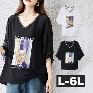 _Si^11/11܂Ł 傫TCY fB[X KB OgbvX VA[  O uEX gbvX `jbN OVc  5  O O 