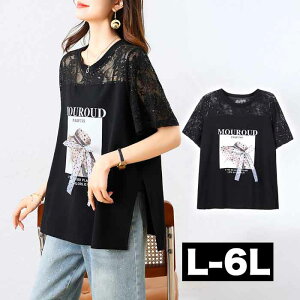 _SiN[|ő ^ 傫TCY fB[X KB OgbvX VA[  tHgTVc O uEX gbvX `jbN OVc  5 O 