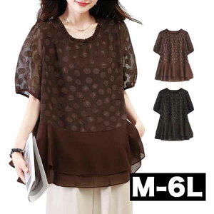 _SiN[|ő ^ KB O uEX `jbN I[o[uEX  5 l T}[  ĕ ĕ ėp  VA[ 傫 傫TCY f