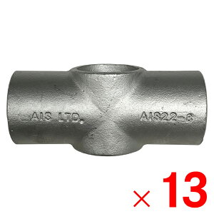 PǃpCv  WCg ԃR[i[XȂ AIS22-8 ×13 P[X̔ A[NY