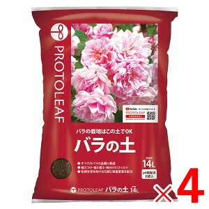 y12͖JÁIGg[ōő100|CgobNzvg[t o̓y 14L ×4 P[X̔