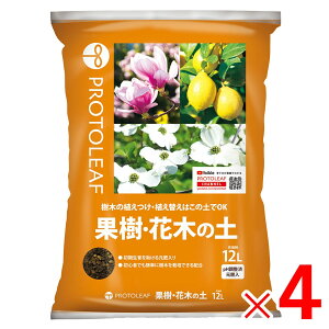 y9͖JÁIGg[ōő100|CgobNzvg[t ʎEԖ؂̓y 12L ×4 P[X̔