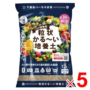 vg[t 󂩂`|{y 12L ×5 P[X̔