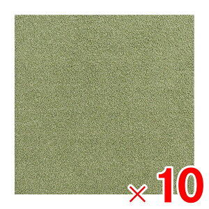 y12͖JÁIGg[ōő100|CgobNzO^X ^C}bg ^CO XNGA 50×50cm O[ GR ×10 P[X̔