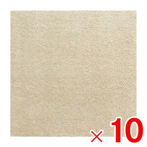 O^X ^C}bg ^CO XNGA 50×50cm x[W BE ×10 P[X̔