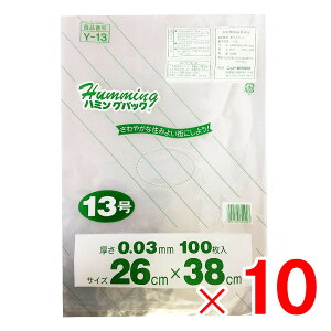 n~OpbN Ki| 13 100 Y-13 ×10 i1,000j Zbg̔