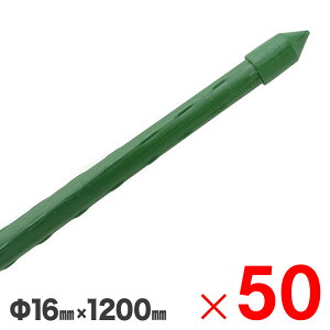 y9͖JÁIGg[ōő100|CgobNz|ǎx |x 16X1200mm 50{ i10{g×5j Zbg̔