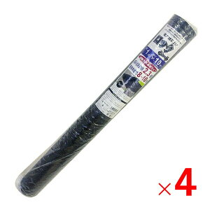 y12͖JÁIGg[ōő100|CgobNzVZC ͖hV[g bNV[g 1m×10m  ̐^/sDz^Cv 4{Zbg y[J[EsEuzsz