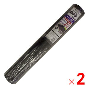 y12͖JÁIGg[ōő100|CgobNzVZC ͖hV[g bNV[g 1m×30m  ̐^/sDz^Cv 2{Zbg y[J[EsEuzsz