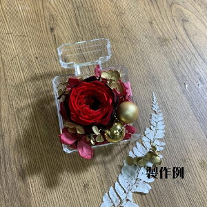 Profumo Luce vt[ [`F vt[ ~j CeA r^P[X G IV  t[  Ԋ Mtg ANZT[  Â nhCh vU[uh h