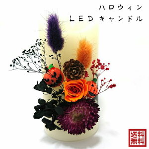 nEB Cg LEDLh dr drt ԐڏƖ R ^C}[ 邳  15cm 낤