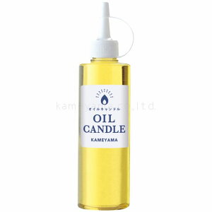 ICLh { CG[ 250cc lߑւ LbhLh F t   R NX}X uC_  I e[uR[fBlCg