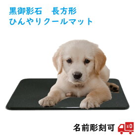 楽天市場 猫ひんやり石の通販