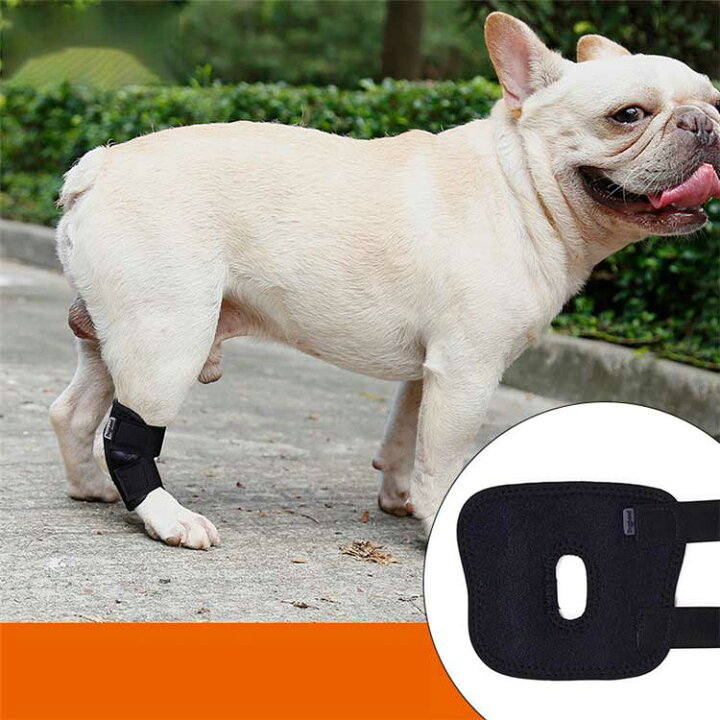 楽天市場 床ずれ予防サポーター 犬用 老犬介護用 小型犬 介護用品 サポーター 老犬 介護 ペット用 老犬介護 犬骨折治療 ペット用品 高齢犬 歩行補助 小型犬用 サポーター 犬用膝サポーター ずっとね 肘当て 床ずれ関節プロテクター Lea Shop楽天市場店