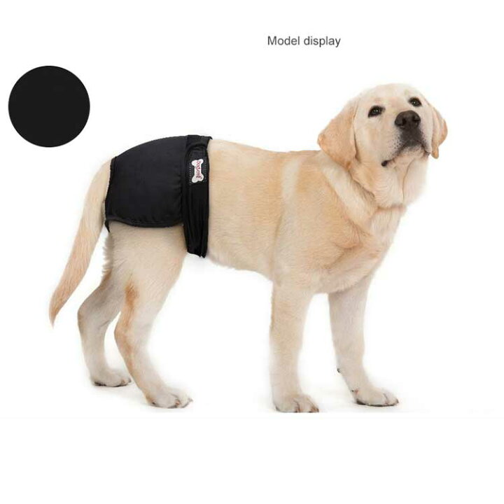 楽天市場 生理パンツ マナーパンツ サニタリーパンツ パンツ オムツカバー 散歩 おでかけ 通院 サニタリーショーツ 下着 レッド ネイビー 送料無料 ストライプサニタリー 尿もれ 犬用 犬用パンツ オシッコ対策 可愛い おむつ オムツ ペット用品 犬服 犬と生活 Lea Shop