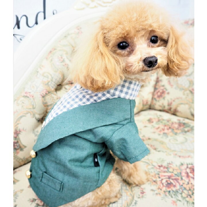 最新入荷 おしゃれなスーツトップス タキシード スーツ フォーマルウェア セミフォーマル 極小犬 パピー 超小型犬 小型犬 犬 猫 ペット 服 犬服 猫服 犬の服 猫の服 洋服 ドッグウェア フォーマル ストライプ 蝶ネクタイ リボン チェック おしゃれ かっこいい クール 返品
