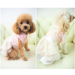 ʌ胏s[X 0`3 s hX ^  L ybg  ̕ L̕  L m hbOEFA  킢  t[ [X RT[W r[Y L XpR[