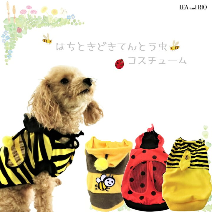 楽天市場 はちときどきてんとう虫トップス コスチューム コスプレ フーディー パーカー 極小犬 パピー 超小型犬 小型犬 犬 猫 ペット 服 犬服 猫服 犬の服 猫の服 洋服 ドッグウェア はち てんとう虫 コスプレ コスチューム ハロウィン イベント インスタ 映え 返品交換