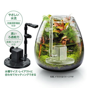 楽天市場 ピコロカ 底面フィルター ボトリウム ボトルアクアリウム ろ過 隠せる 流量調節可 小型水槽 Gex ｌｅａｆｓ