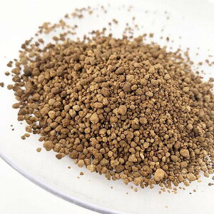 قƂ肦x[X\CyeEzyp_Ezyꏰzyz