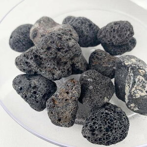 ほとりえラヴァストーン【テラリウム】【パルダリウム】【溶岩石】【水作】