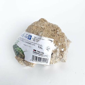 吸水石 中【テラリウム】【パルダリウム】【レイアウト素材】【天然石】【形状おまかせ】【カミハタ】