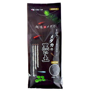 _J̍y 1Ly\CzyvNgzyǂzy̐FێzyJ~n^z