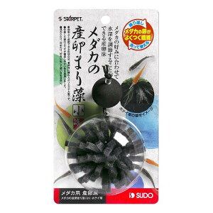 _J̎Y܂葔() zeC\EyɐBzyYzyׂzy₷zyɐBzyu[hzyrIg[vzyXh[z