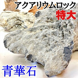 アクアリウム 石 カミハタ アクアリウムロック 青華石 特大(3個入り) 形状おまかせ 水槽 岩組み 添え石 親石 天然石 石ガチャ