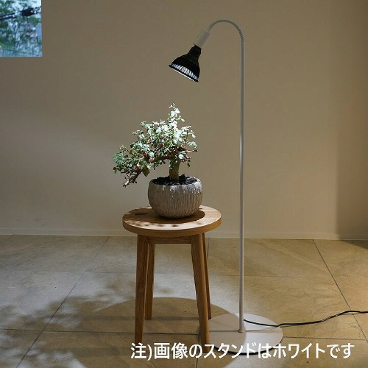 楽天市場】BARREL(バレル) 専用ライトスタンド BA-ST184-BK 
