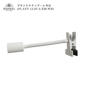 BARREL(o) p\Pbg vgNbvA(E26) zCgyA琬zyANAEzyeEzyp_EzyzLEDz