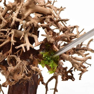 [[ڒ܁yڒzy[[zyڗȂzyCAEgzyNAzyzy΁zyJ~n^z