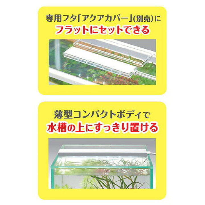 楽天市場】GEX クリアLED フラッティ ホワイト/ブラック【アクアリウム】【ボトルアクア】【テラリウム】【水草育成】【40cm以下水槽用】 : LEAFS 楽天市場】GEX クリアLED フラッティ ホワイト/ブラック【アクアリウム】【ボトルアクア】【テラリウム】【水草育成】【40cm以下水槽用】 : LEAFS