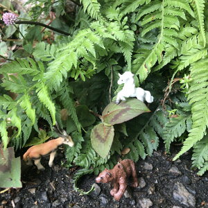 WI} Lbg ~j~jCh WI}@ tBMA@b jR[ ͌^ ~j`Ay5܂ŃlR|Xz