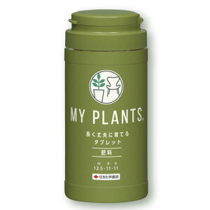 엿@MY PLANTS vɈĂ^ubg 170 }CvcyZFw|zyŌ`엿zyLȂzyɒuzy4z