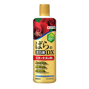 ZF }C[Y ΂͉̊tDX 800mly͉tzyozy}C[YzyZFw|zyL@z