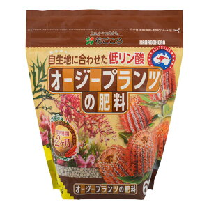 ��p�엿�@�Ԃ����� �I�[�W�[�v�����c�̔엿 600g�@�O���r���A �o���N�V�A �J���X�e���� �A�J�V�A �t�����l���t�����[ �J���K���[�|�[ ���[�J�� �j���[�T�C���� �R���W���l �v���e�A�y2��