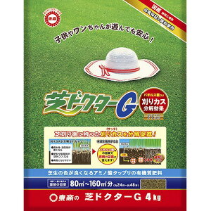 Őp엿 ŃhN^[G 4kgyJXzyŐzyzy6_܂ōwz